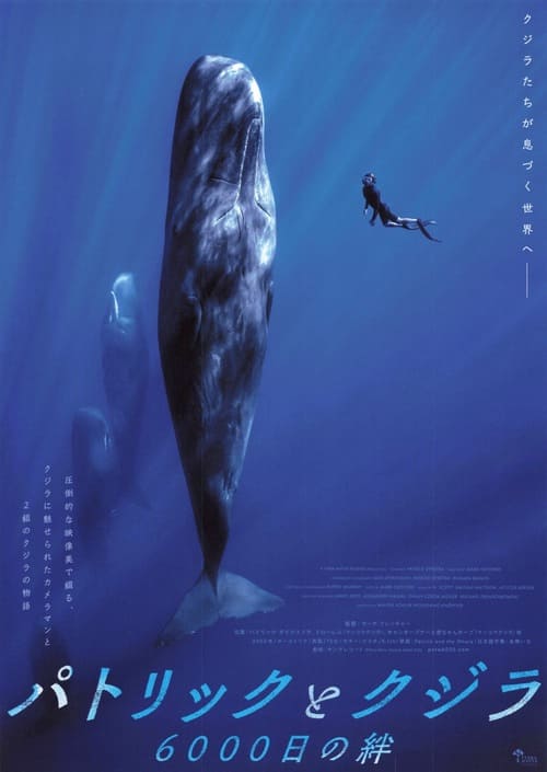 パトリックとクジラ 6000日の絆